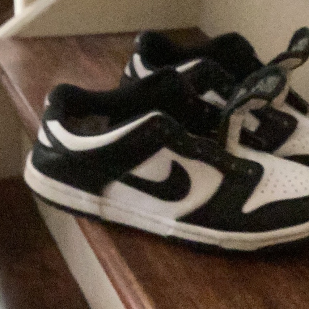 Panda dunks low - Picture 4 of 5